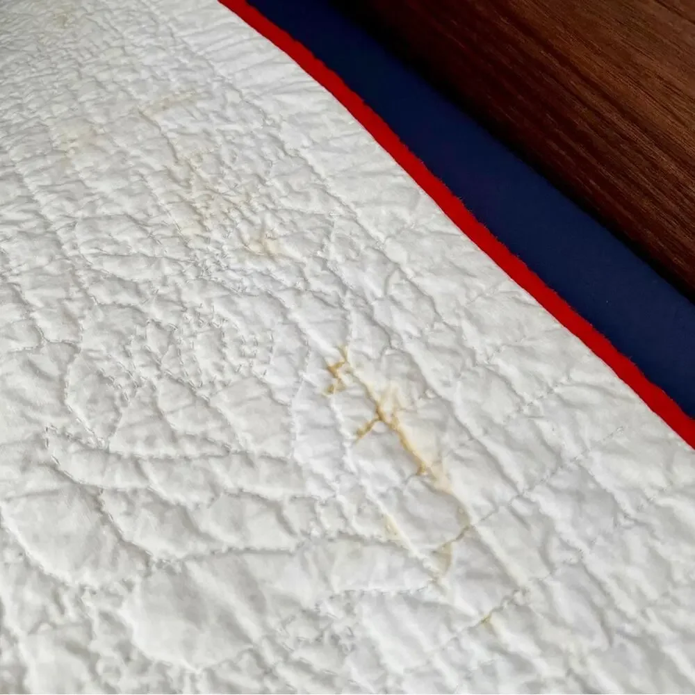 Vintage 1950s Rose Appliquéd Hand Stitched Quilt Full/Queen